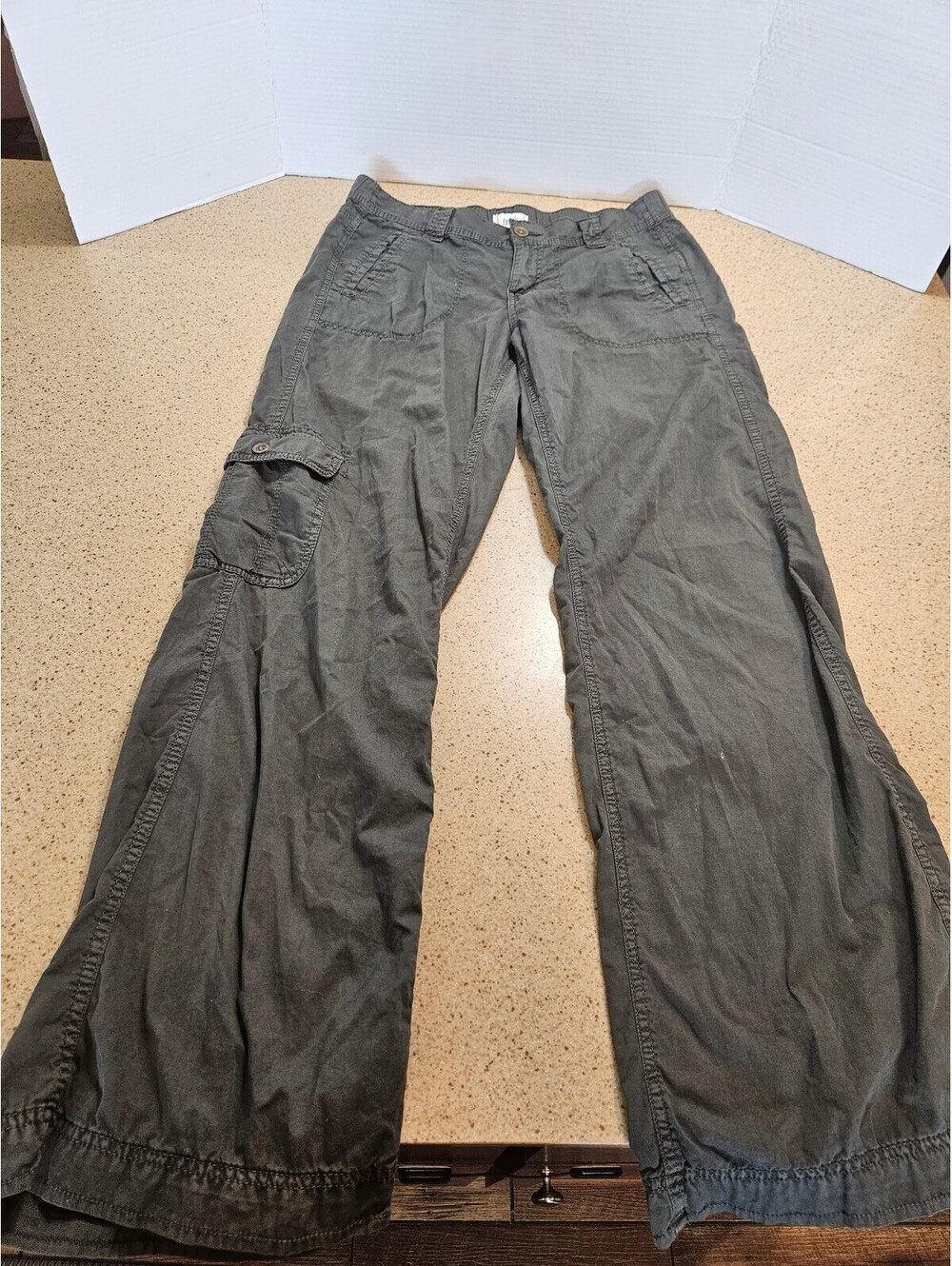 BDG gray cargo pants